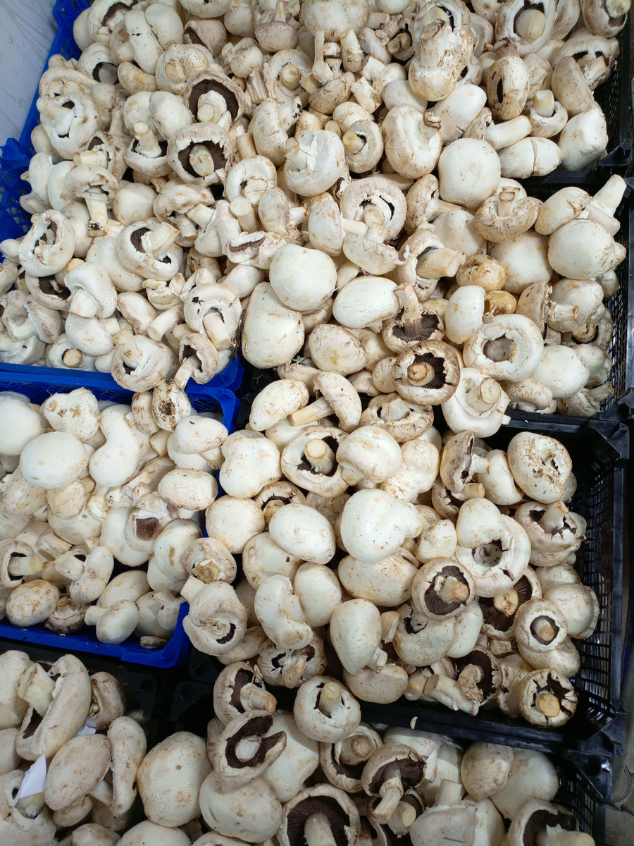 Фото сделано автором канала