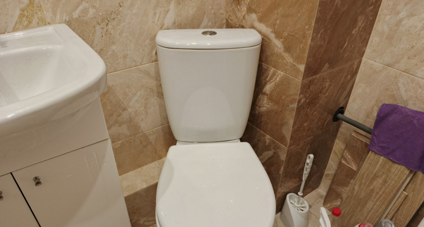    фото bryansk.news