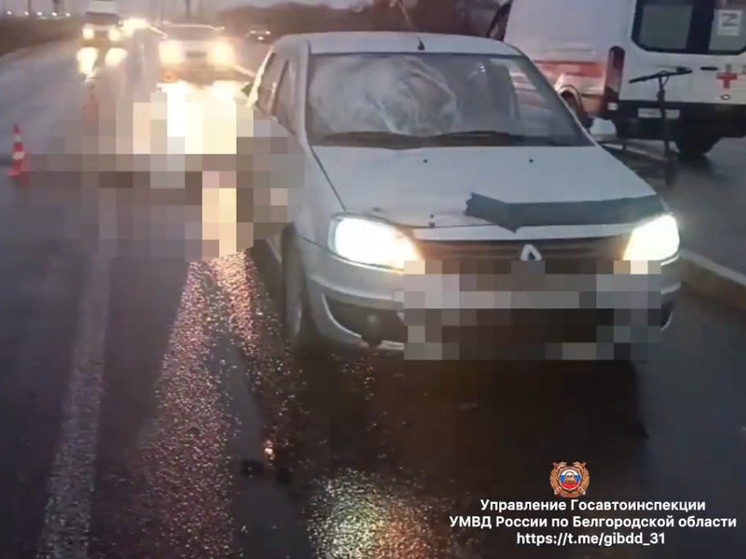     В Белгороде водитель «Рено» насмерть сбил пенсионерку, фото: скриншот видео пресс-службы Госавтоинспекции по Белгородской области