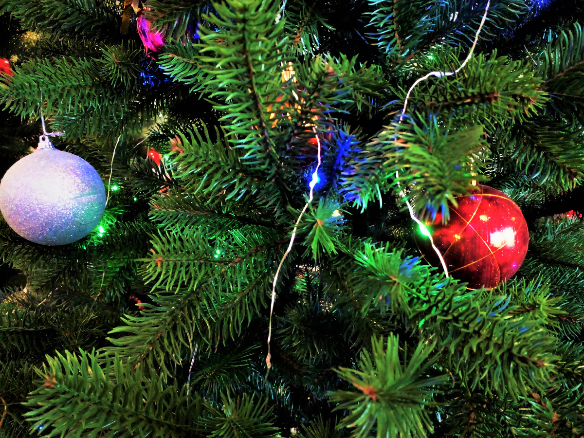 Фото из архива ТВ. 