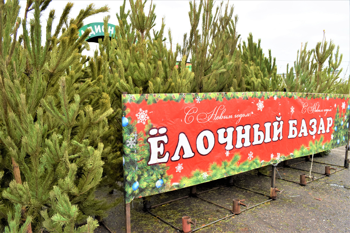 Фото из архива ТВ. 