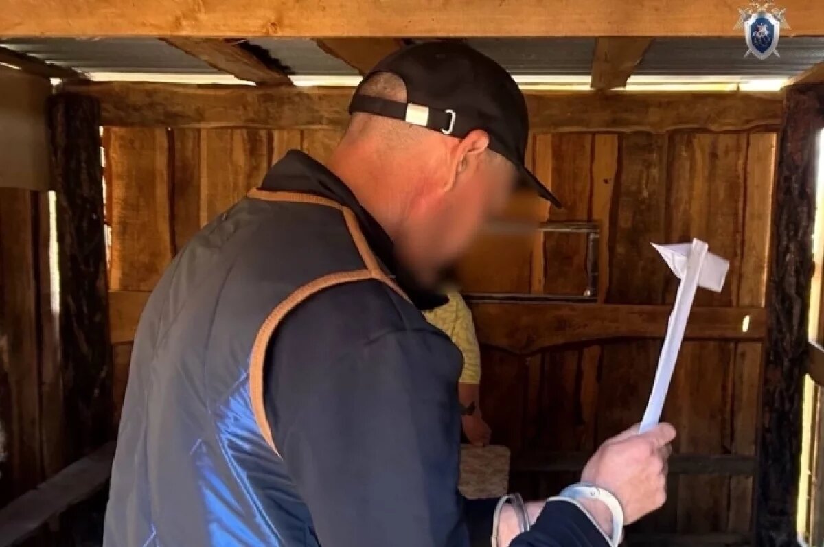    В Туве мужчину осудили на 8 лет за убийство знакомого молотком