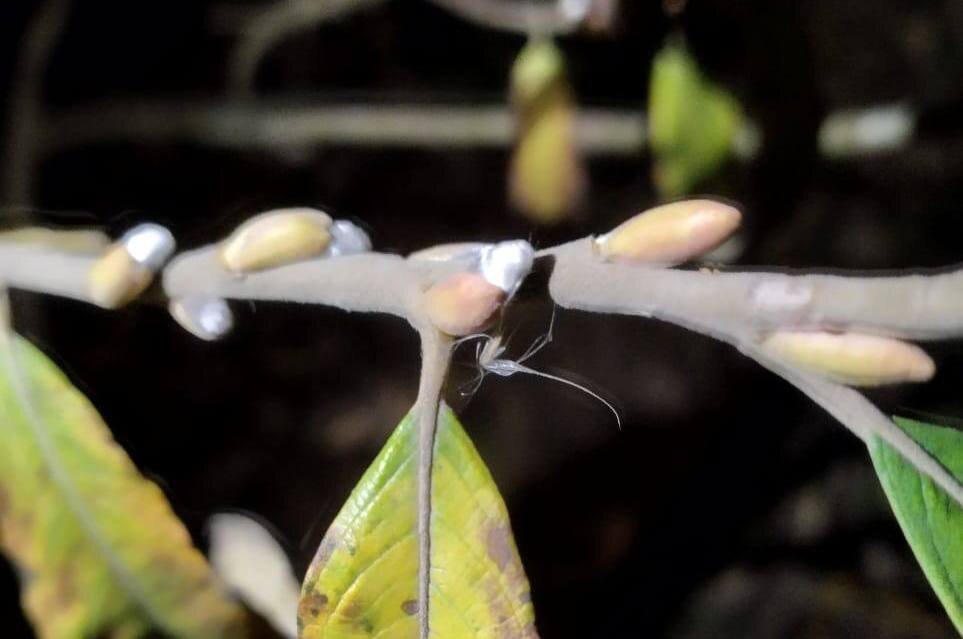    Фото предоставила В. Токарева. Газета "Земля"