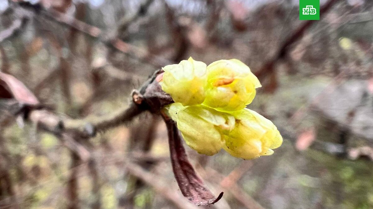    Фото: Анна Ткачева / t.me