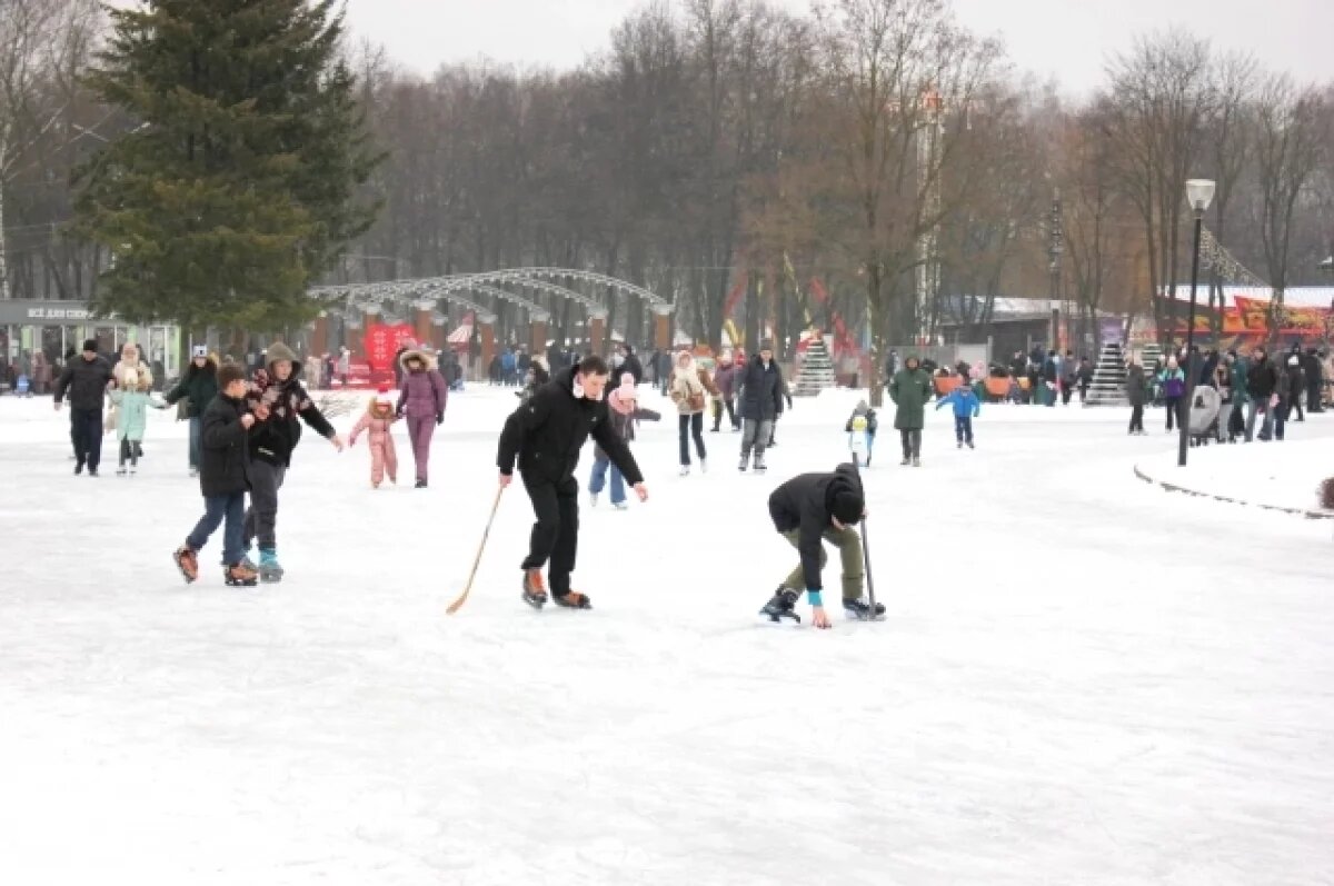    Проект праздничных мероприятий «Зима по-тульски» начал свою работу