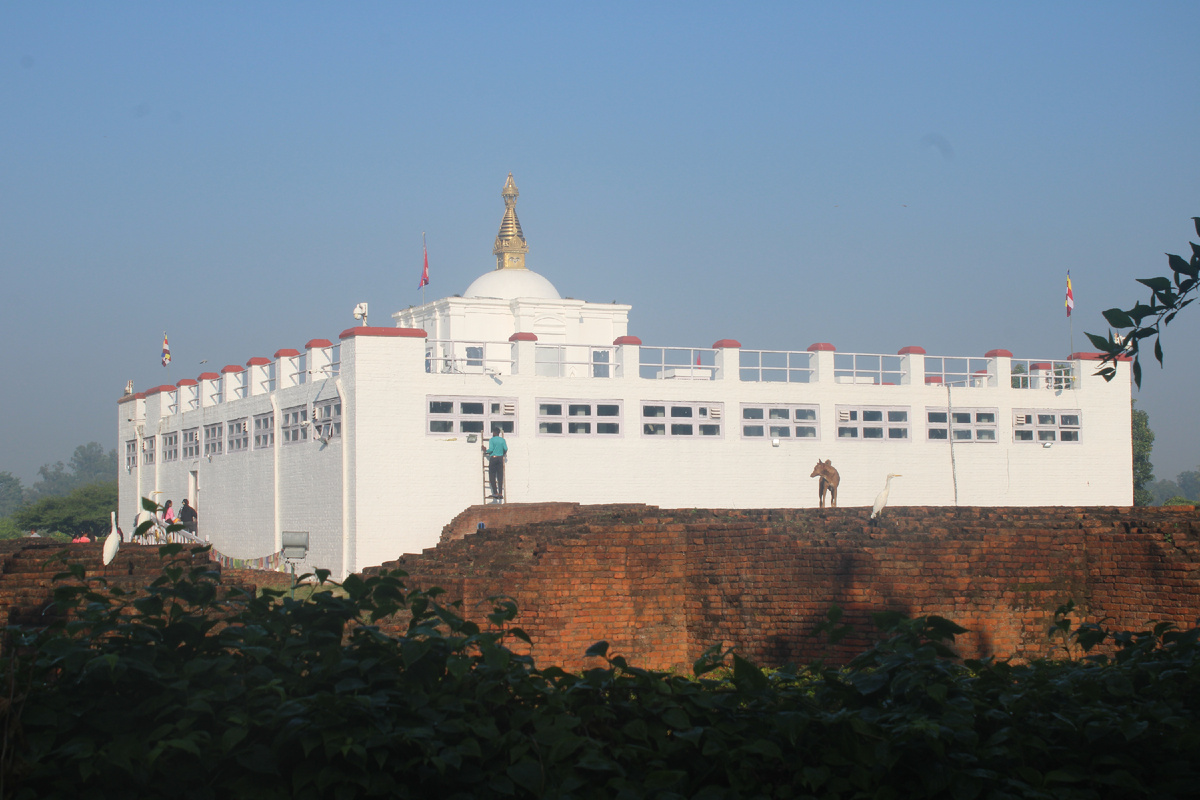 Чистый новострой