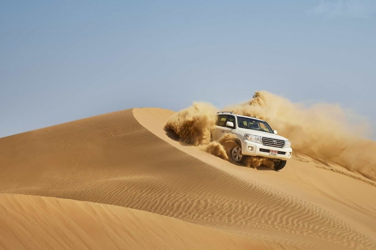 Сафари. Источник фото - YouTube