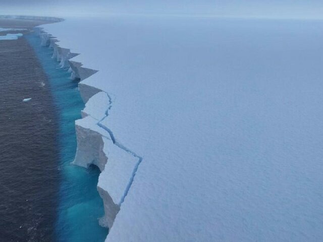    Фото: телеграм-канал "ЛЕД"