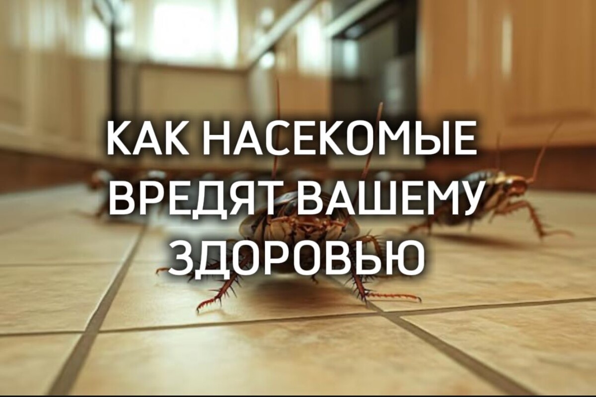 потравить тараканов