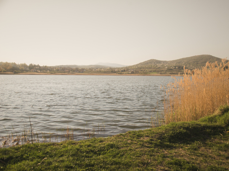     Фото: ru.freepik.com