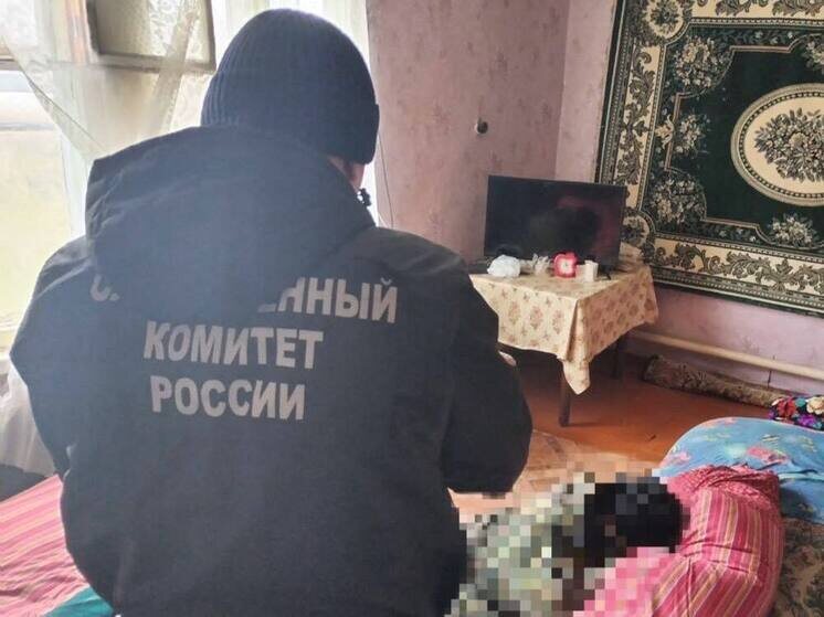     Фото: СУ СК РФ по Саратовской области