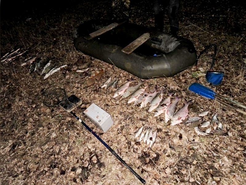 Фото: Азово-Черноморское ТУ Росрыболовства
