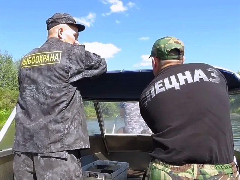 Они уже идут