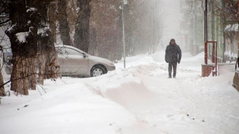     Снегопад. Зима. Метель. Снег. Анна Зайкова, altapress.ru