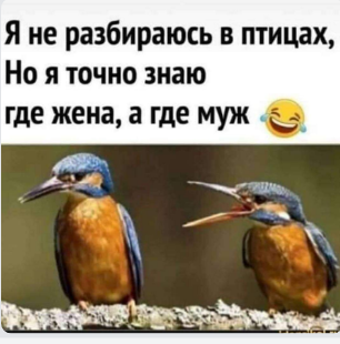 Из открытых источников.