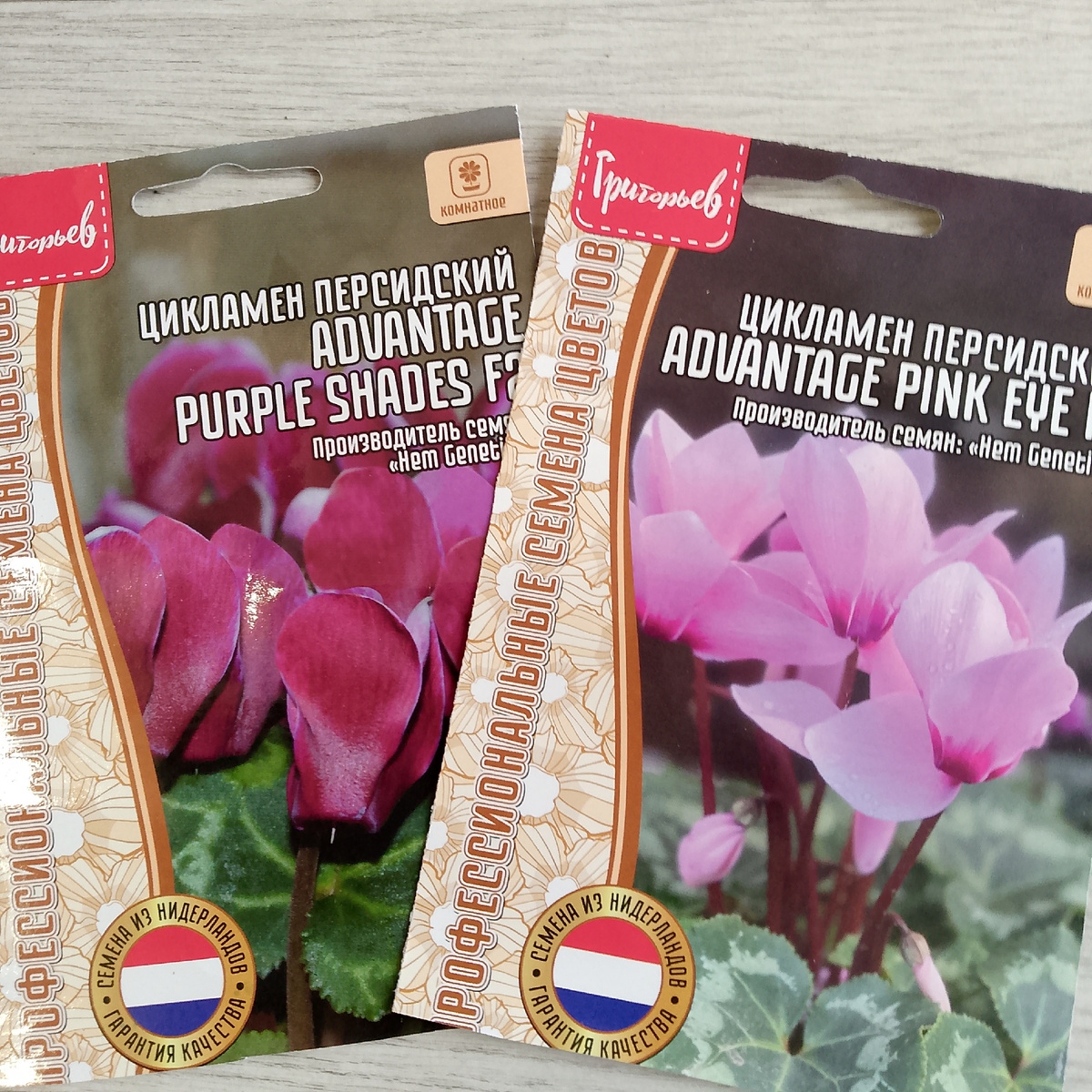 Вот такие должны быть цикламены