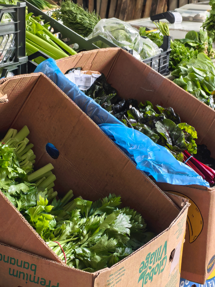 зеленюшечка: наше всё