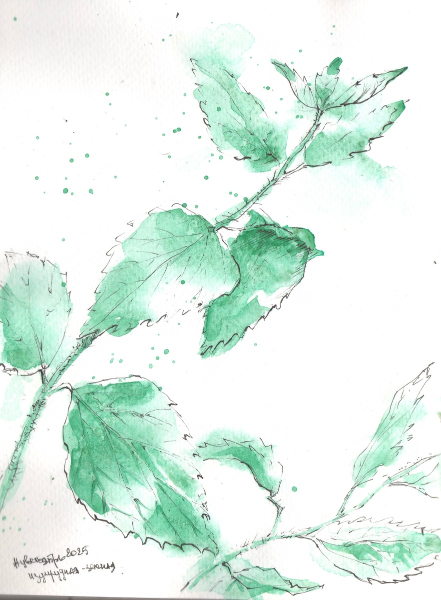 Изумрудно-зеленый