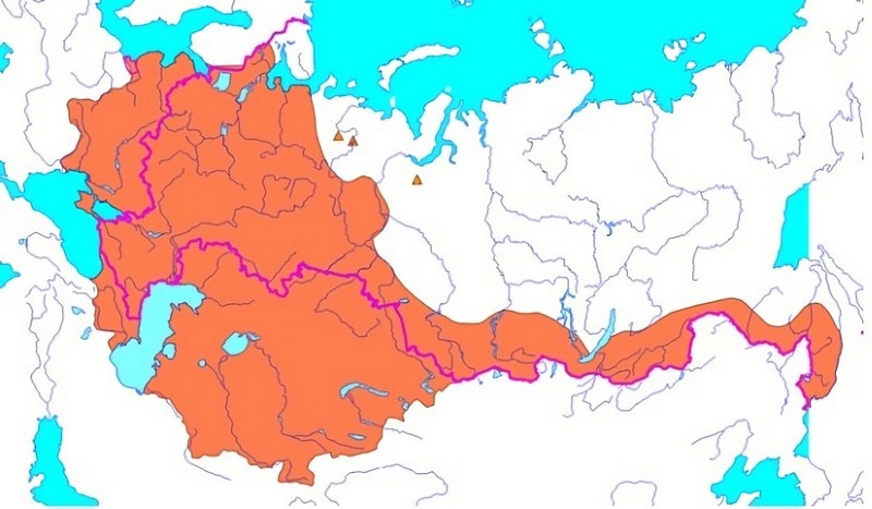 Ареал обитания кабанов в России