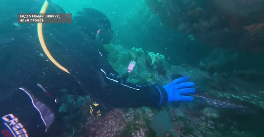    Источник фото: