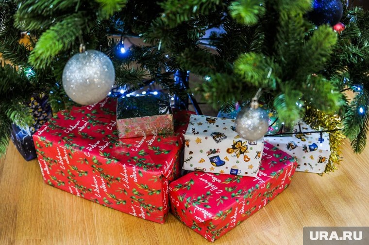     Курганские политики раскрыли, о каких подарках мечтали в детстве