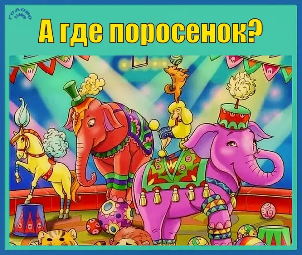 Где поросёнок? Найди его на цирковой арене за 20 секунд!