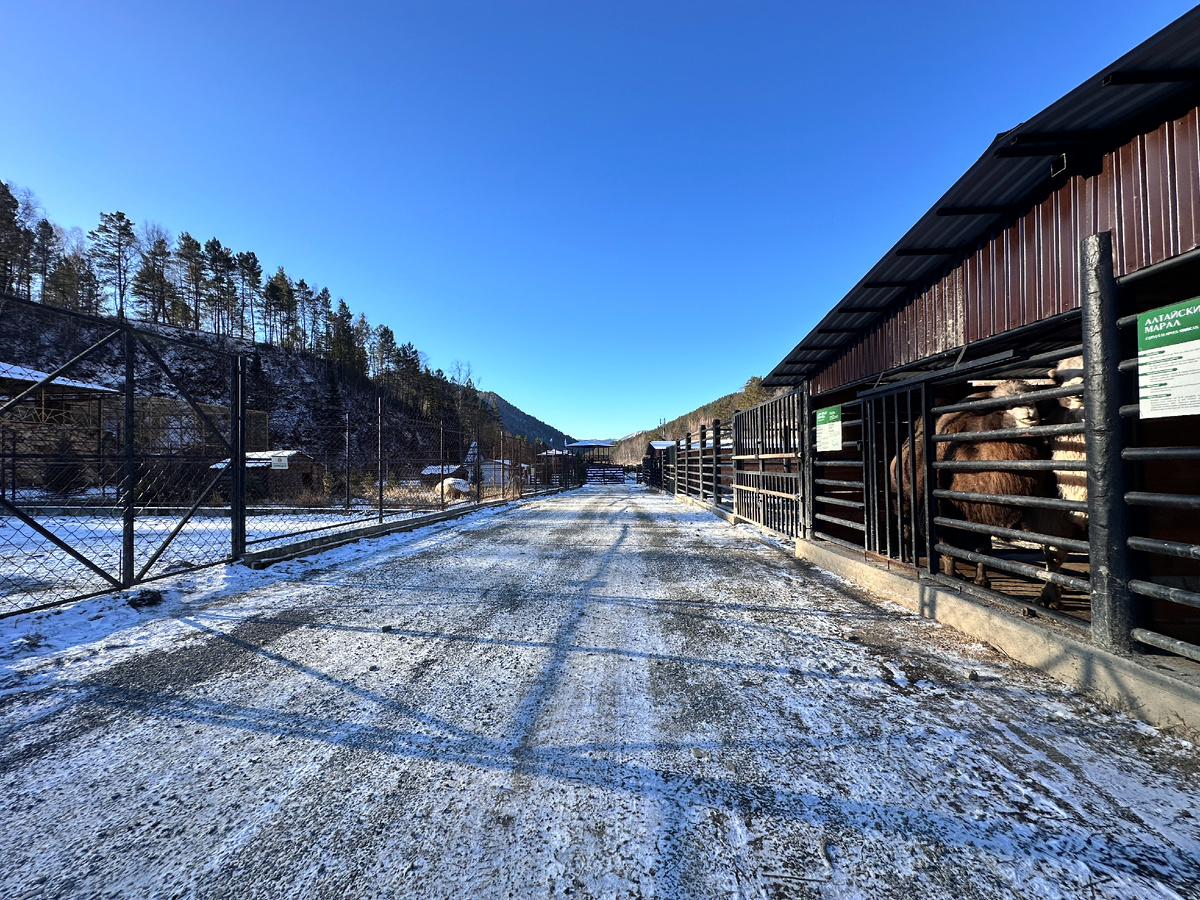Чисто и прибрано