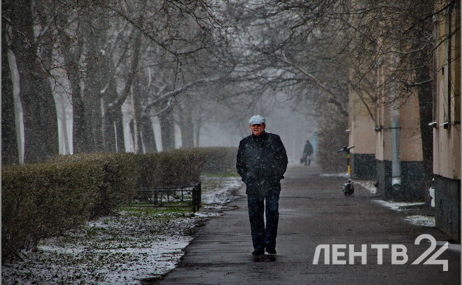    © Анастасия Илюшина / ЛенТВ24, архивное фото