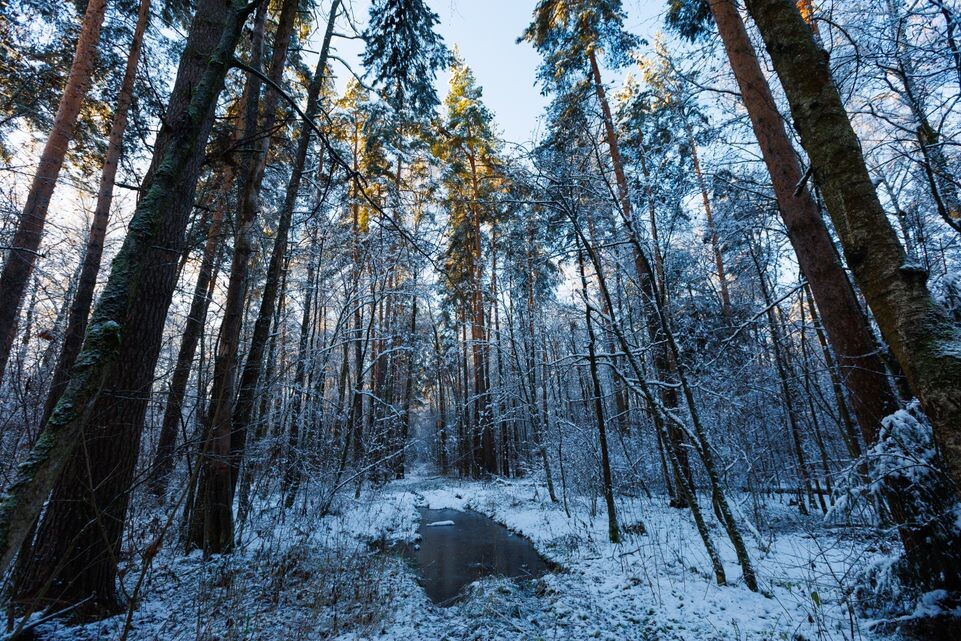    Зима наступила в Подмосковье / Медиасток.рф