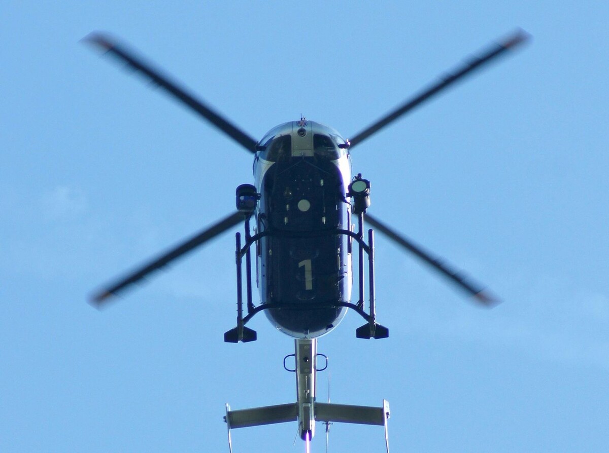     / Источник: © Global Look Press