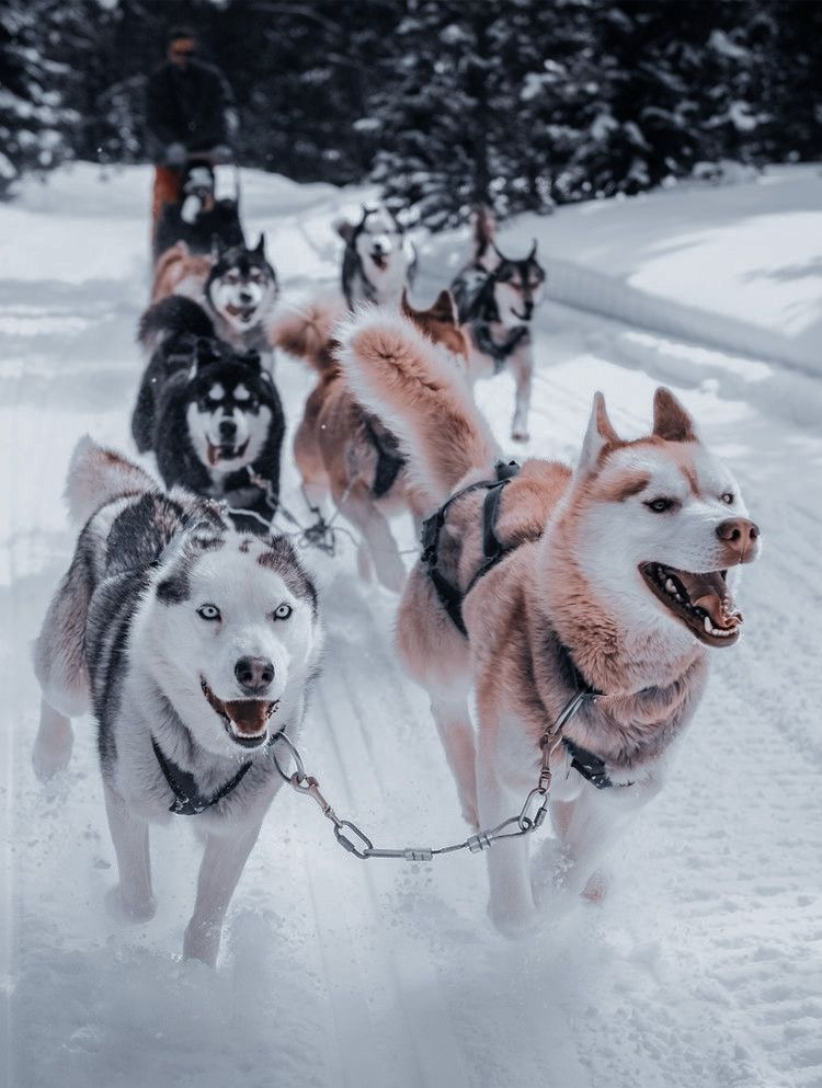 Фото из Pinterest