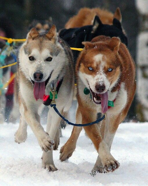 Фото из Pinterest