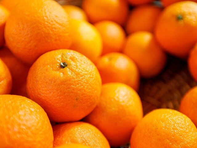    Фото: портал мэра и правительства Москвы/Олег Сосницкий