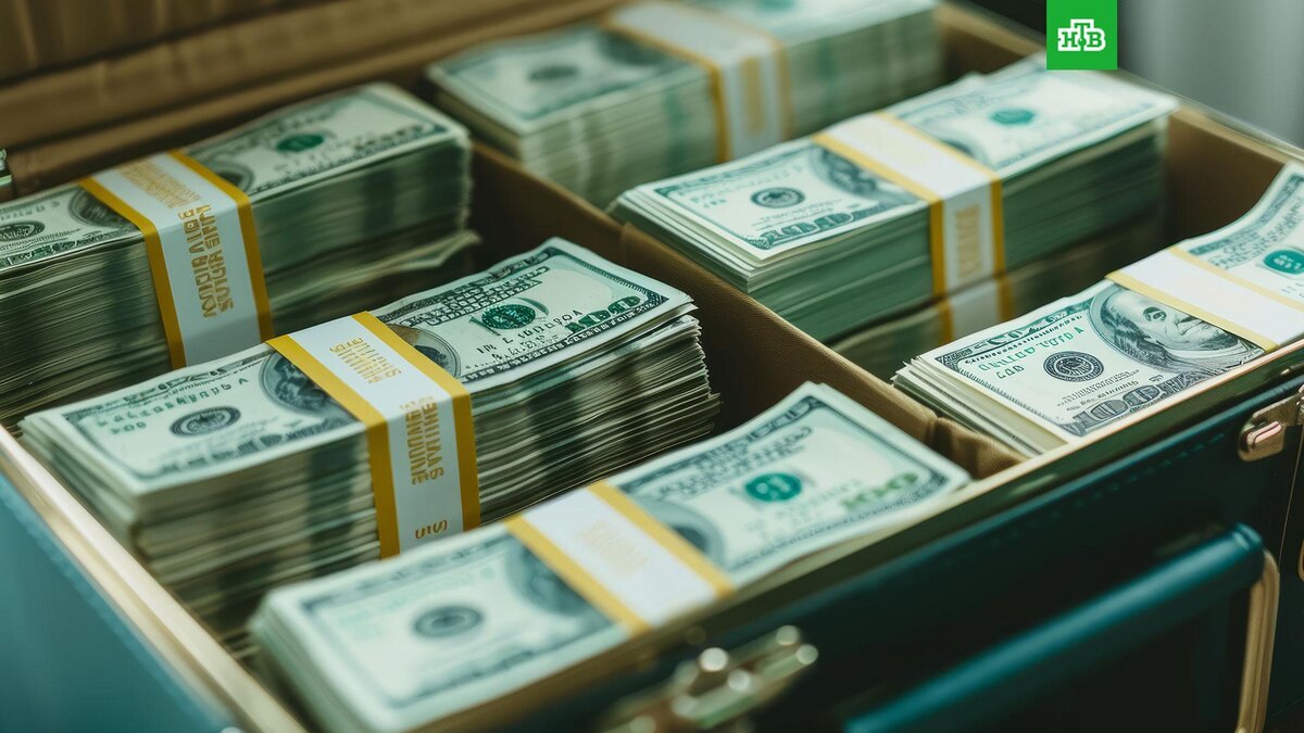    Фото: freepik.com