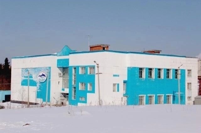    Бассейн«Дельфин». Фото: Чусовской городской округ