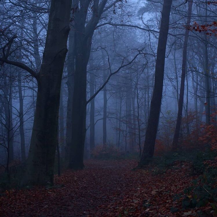 Фото из Интернета