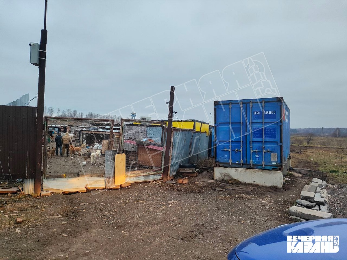    Степан Белоенко / ИД «Вечерняя Казань»