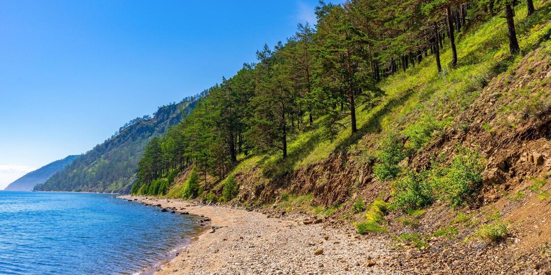 На Байкале хотят разрешить сплошную рубку леса