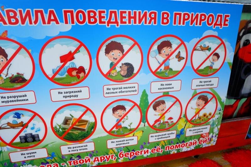    Плакат с правилами поведения на природе