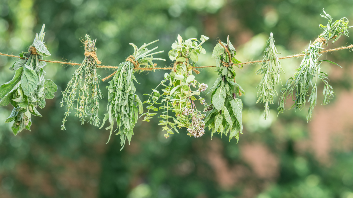 Многие популярные пряности растут под носом