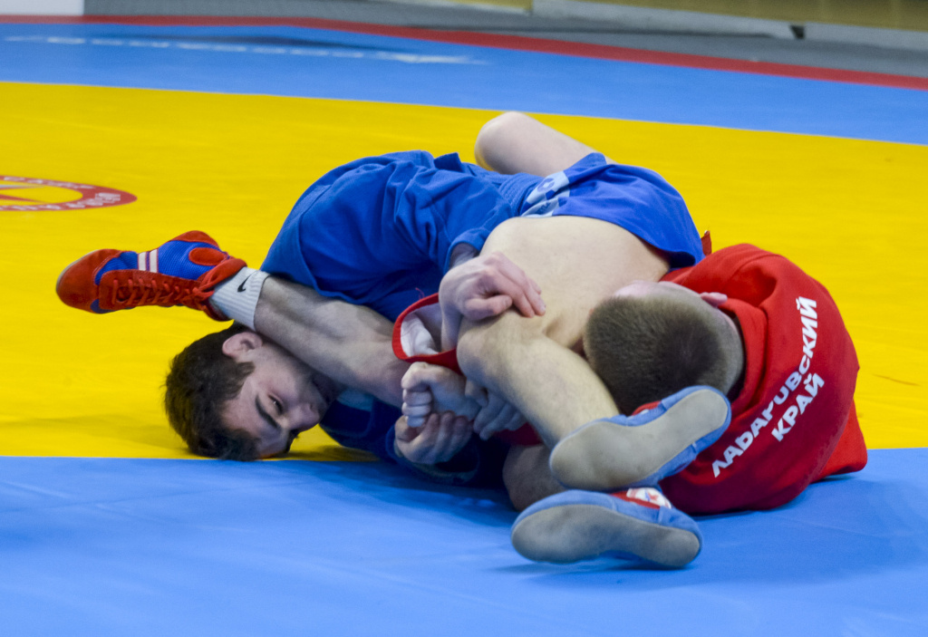    Международная федерация самбо вернула спортсменам РФ возможность выступать под национальным флагом