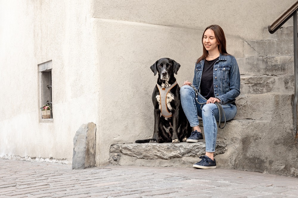 Шлейка Curli серии Alpine