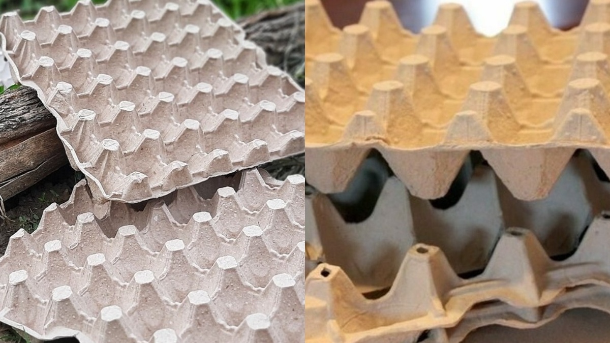 Яичные лотки