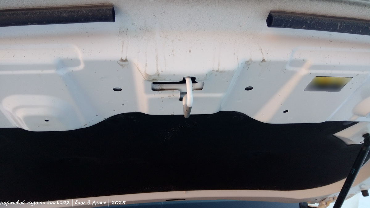 Вот такие два уплотнителя призваны защитить подкапотное пространство от осадков в виде дождя или снега. Автор фотографии kua1102