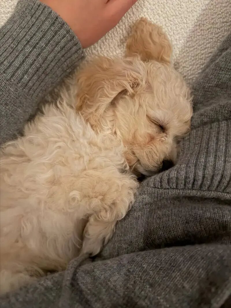    Фото из личного архива Шишкарёва С.Н