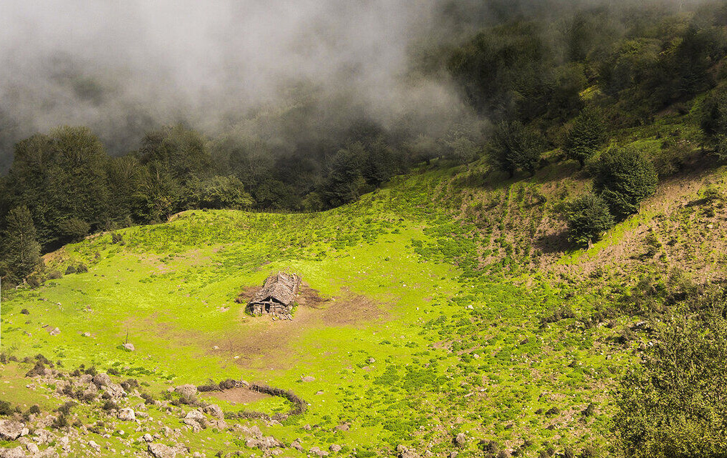 Фото: информационное агентство IRNA