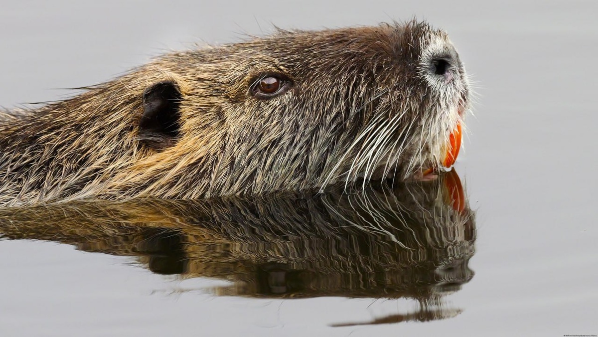 Все фото из интернета