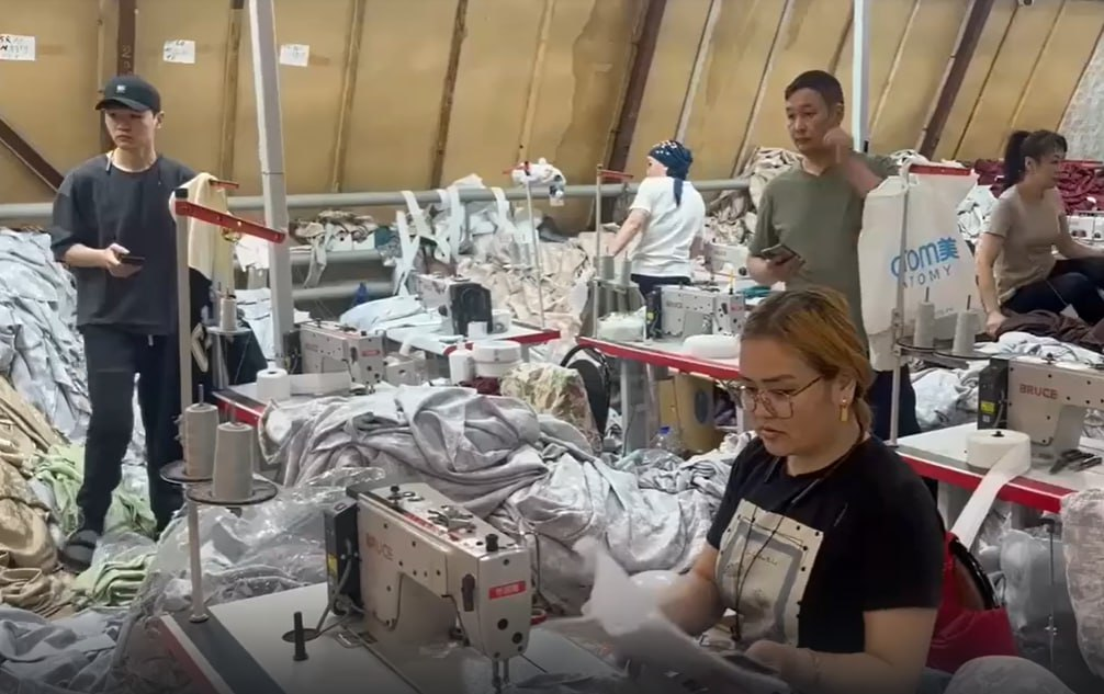 Фото: Prt Scr rutube.ru / МВД МЕДИА