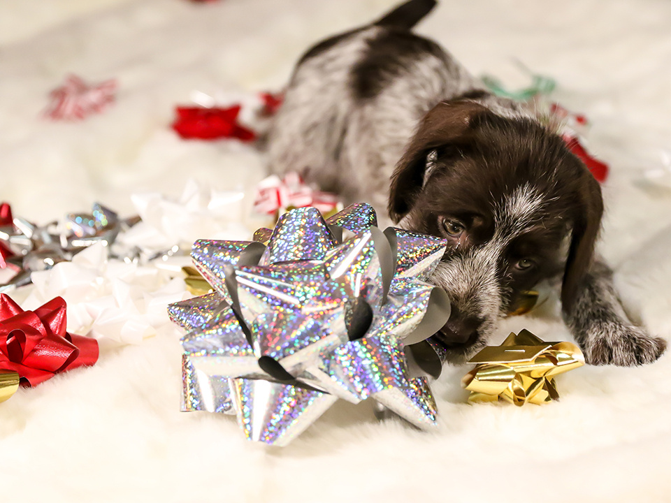     Фото: istockphoto.com/PharmShot