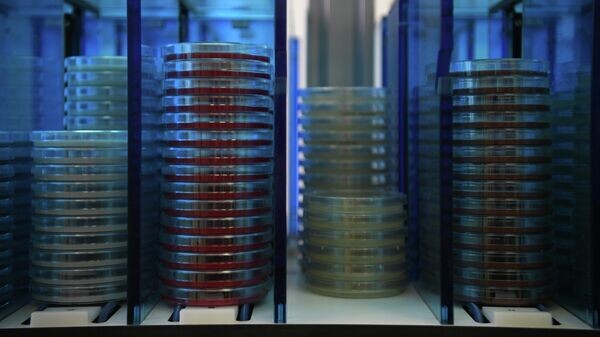    © Sputnik / Евгений Биятов